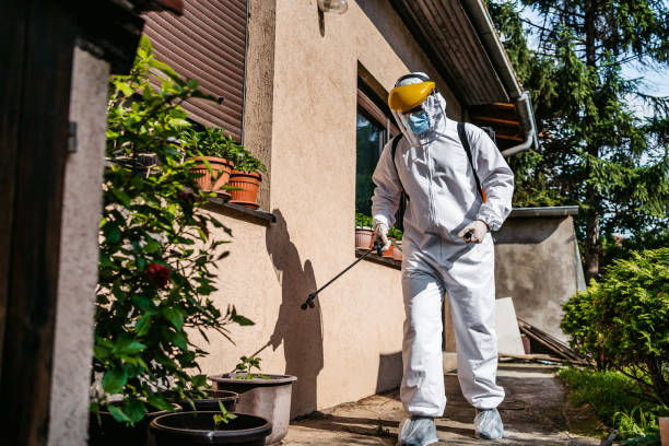 Professional Pest Control in Helper, UT