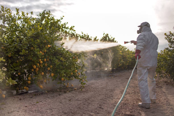 Best Pest Control Near Me in Helper, UT