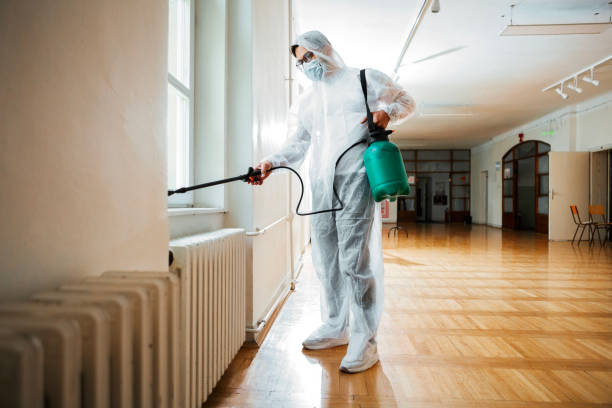 Best Local Pest Control Services  in Helper, UT